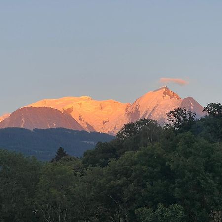 Duplex 3 Chambres Vue Mont-Blanc Domancy エクステリア 写真