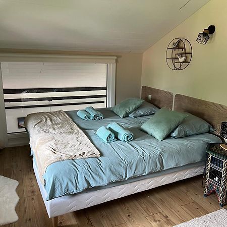 Duplex 3 Chambres Vue Mont-Blanc Domancy エクステリア 写真
