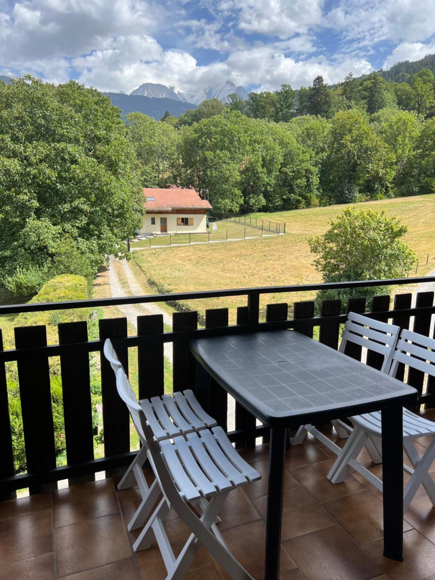 Duplex 3 Chambres Vue Mont-Blanc Domancy エクステリア 写真