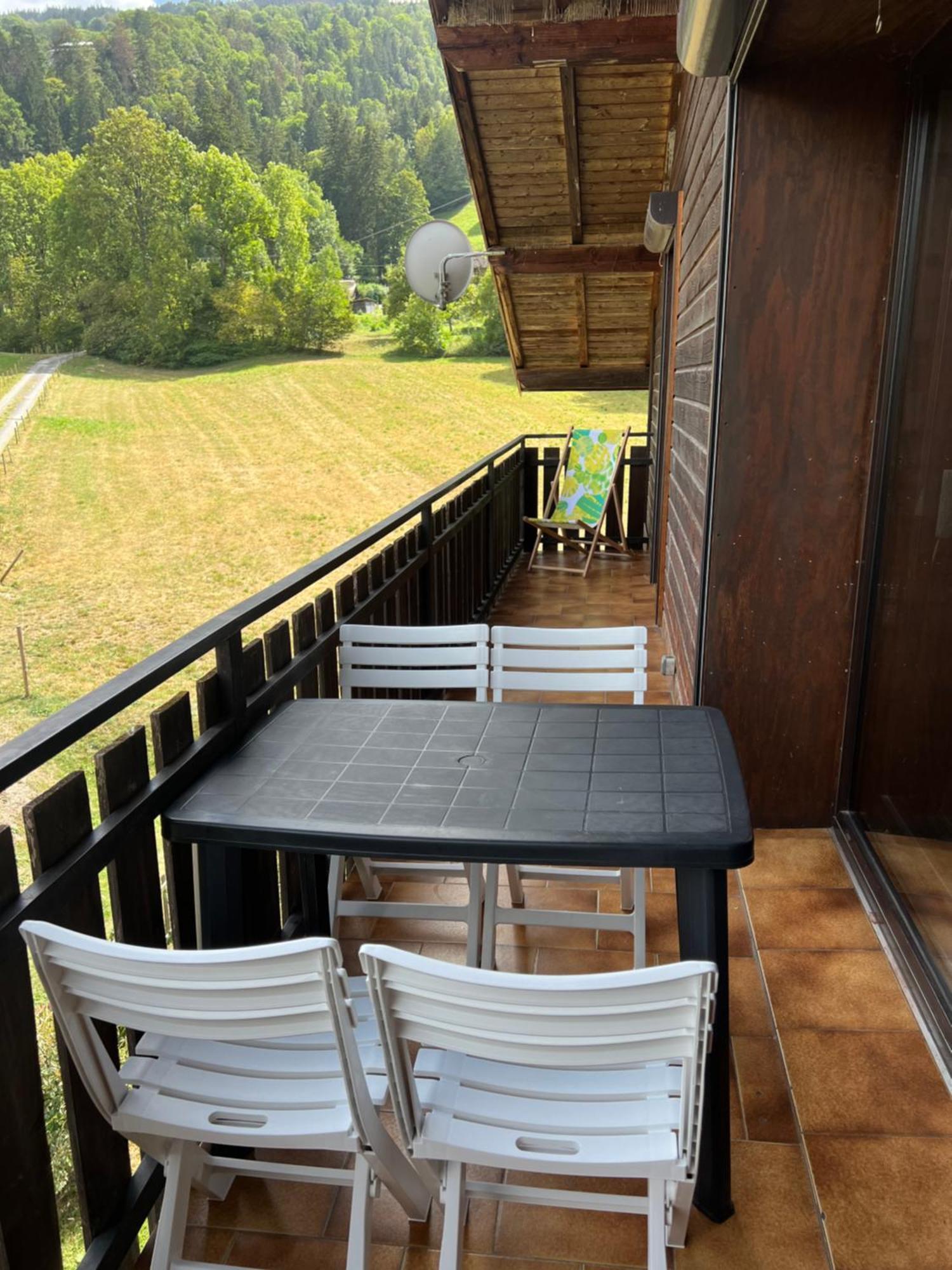 Duplex 3 Chambres Vue Mont-Blanc Domancy エクステリア 写真
